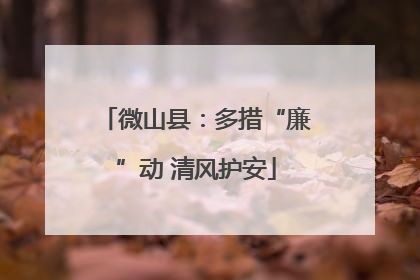 微山县：多措“廉”动 清风护安