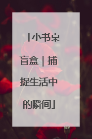 小书桌盲盒｜捕捉生活中的瞬间