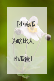 小南瓜为啥比大南瓜贵