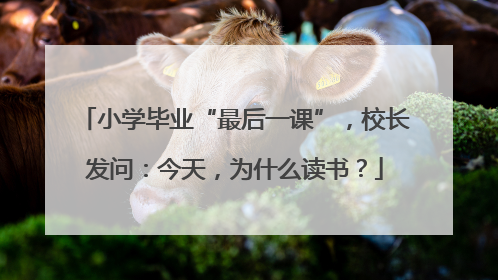 小学毕业“最后一课”，校长发问：今天，为什么读书？