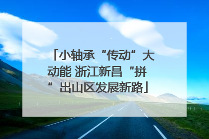 小轴承“传动”大动能 浙江新昌“拼”出山区发展新路