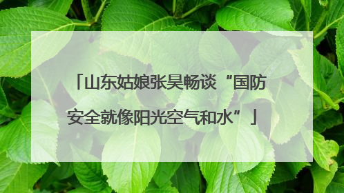 山东姑娘张昊畅谈“国防安全就像阳光空气和水”