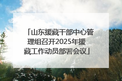 山东援藏干部中心管理组召开2025年援藏工作动员部署会议
