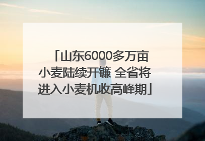 山东6000多万亩小麦陆续开镰 全省将进入小麦机收高峰期