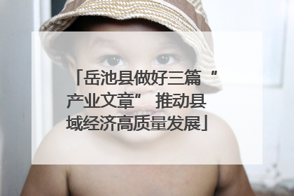 岳池县做好三篇“产业文章” 推动县域经济高质量发展