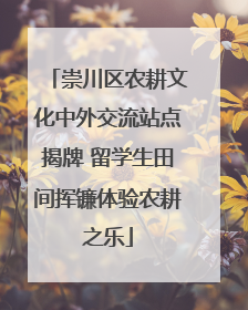 崇川区农耕文化中外交流站点揭牌 留学生田间挥镰体验农耕之乐