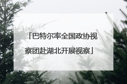 巴特尔率全国政协视察团赴湖北开展视察