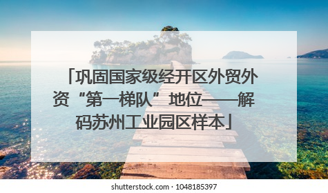巩固国家级经开区外贸外资“第一梯队”地位——解码苏州工业园区样本