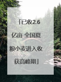 已收2.6亿亩 全国夏粮小麦进入收获高峰期
