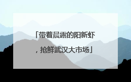带着晨露的阳新虾，抢鲜武汉大市场