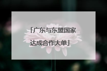 广东与东盟国家达成合作大单