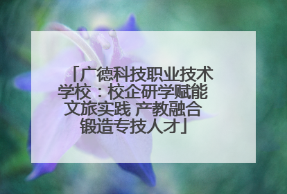 广德科技职业技术学校：校企研学赋能文旅实践 产教融合锻造专技人才