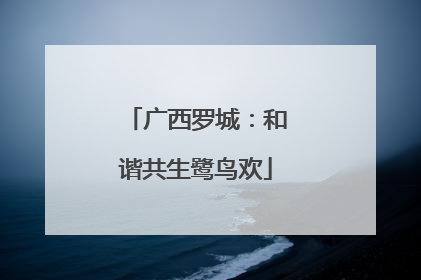 广西罗城：和谐共生鹭鸟欢
