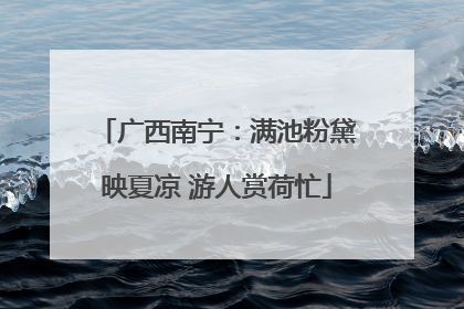 广西南宁：满池粉黛映夏凉 游人赏荷忙