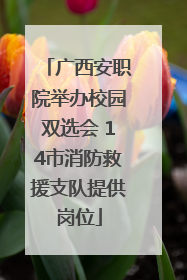 广西安职院举办校园双选会 14市消防救援支队提供岗位