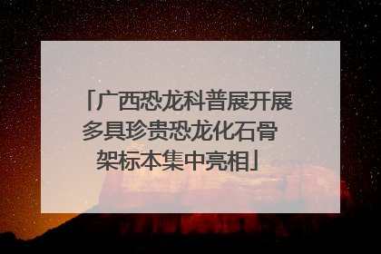 广西恐龙科普展开展 多具珍贵恐龙化石骨架标本集中亮相