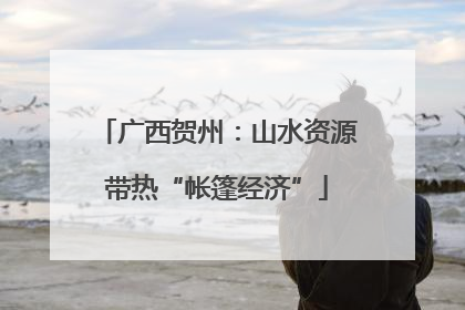 广西贺州：山水资源带热“帐篷经济”