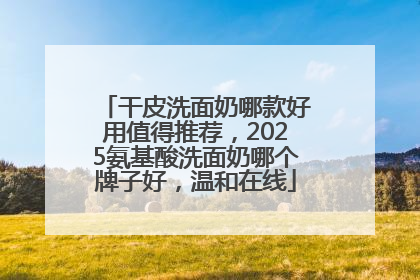 干皮洗面奶哪款好用值得推荐，2025氨基酸洗面奶哪个牌子好，温和在线