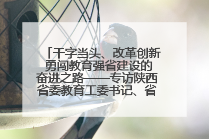 干字当头、改革创新 勇闯教育强省建设的奋进之路——专访陕西省委教育工委书记、省教育厅厅长王树声