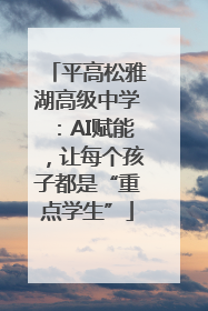 平高松雅湖高级中学：AI赋能，让每个孩子都是“重点学生”