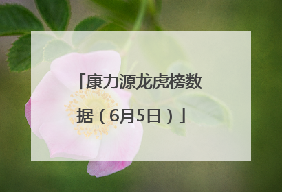 康力源龙虎榜数据（6月5日）