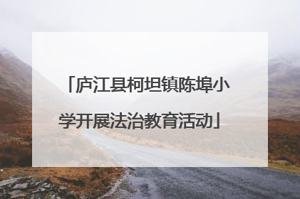 庐江县柯坦镇陈埠小学开展法治教育活动