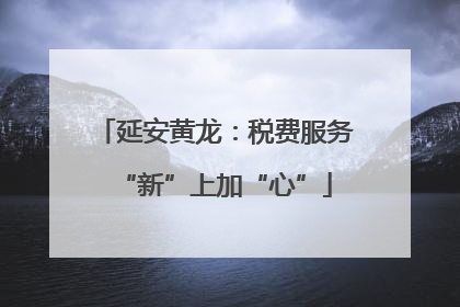 延安黄龙：税费服务“新”上加“心”