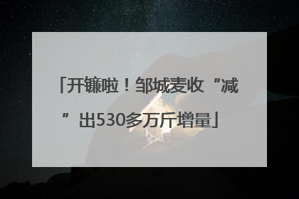 开镰啦！邹城麦收“减”出530多万斤增量