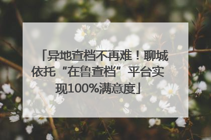 异地查档不再难！聊城依托“在鲁查档”平台实现100%满意度
