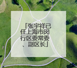 张宇祥已任上海市闵行区委常委、副区长