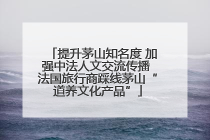 提升茅山知名度 加强中法人文交流传播 法国旅行商踩线茅山“道养文化产品”