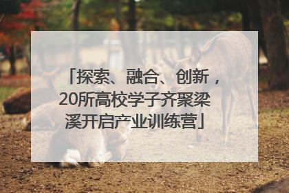 探索、融合、创新，20所高校学子齐聚梁溪开启产业训练营