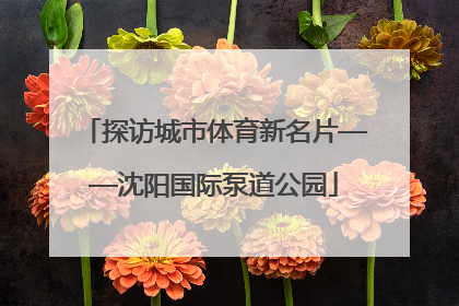 探访城市体育新名片——沈阳国际泵道公园
