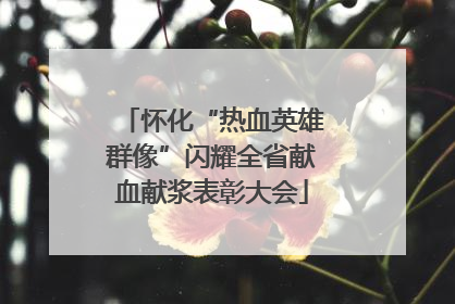 怀化“热血英雄群像”闪耀全省献血献浆表彰大会