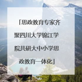 思政教育专家齐聚四川大学锦江学院共研大中小学思政教育一体化