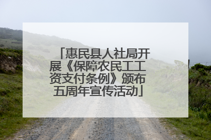 惠民县人社局开展《保障农民工工资支付条例》颁布五周年宣传活动