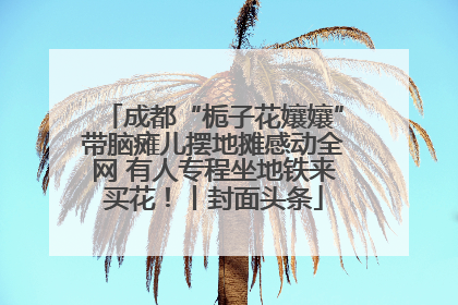 成都“栀子花孃孃”带脑瘫儿摆地摊感动全网 有人专程坐地铁来买花！丨封面头条