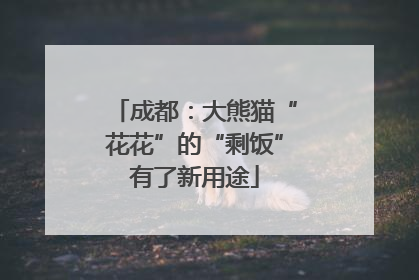 成都：大熊猫“花花”的“剩饭”有了新用途