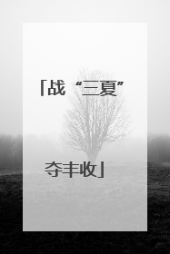 战“三夏” 夺丰收