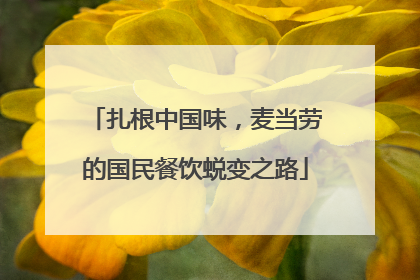 扎根中国味，麦当劳的国民餐饮蜕变之路