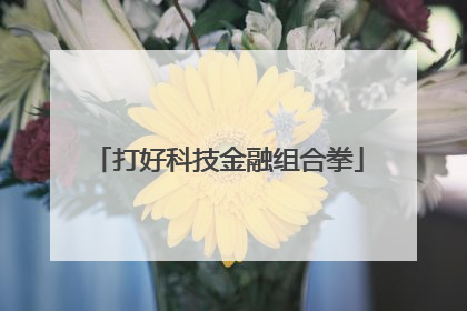 打好科技金融组合拳