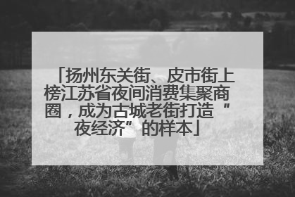 扬州东关街、皮市街上榜江苏省夜间消费集聚商圈，成为古城老街打造“夜经济”的样本