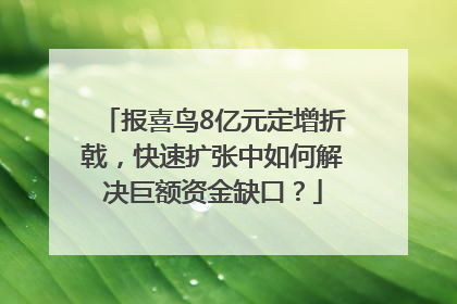 报喜鸟8亿元定增折戟，快速扩张中如何解决巨额资金缺口？