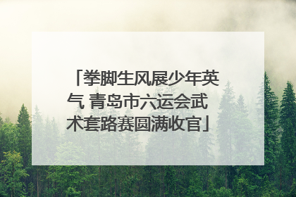 拳脚生风展少年英气 青岛市六运会武术套路赛圆满收官