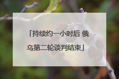 持续约一小时后 俄乌第二轮谈判结束