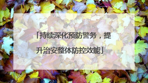 持续深化预防警务，提升治安整体防控效能