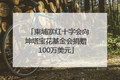 柬埔寨红十字会向坤塔宝花基金会捐赠100万美元