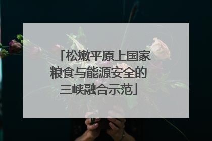 松嫩平原上国家粮食与能源安全的三峡融合示范