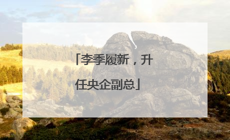 李季履新，升任央企副总