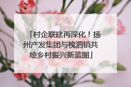 村企联建再深化！扬州产发集团与槐泗镇共绘乡村振兴新蓝图
